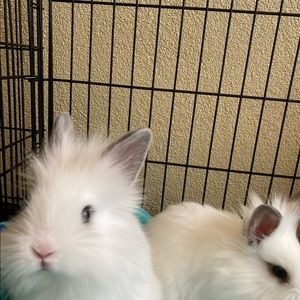 Meet your Posher, Savanna